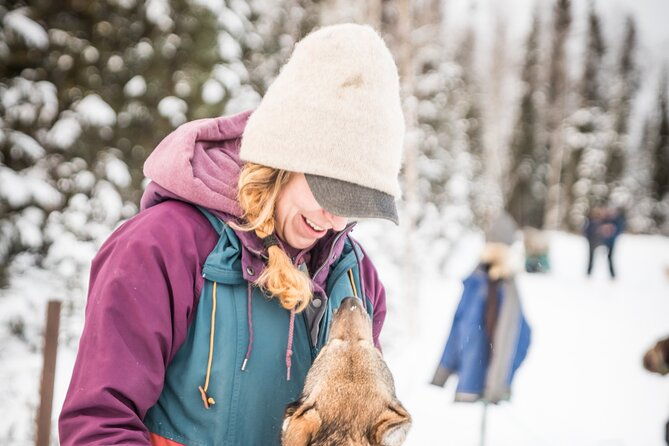 private-guided-dog-sledding-on-the-historic-yukon-quest-trail