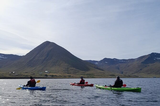 private-guided-kayak-tour-in-siglufjordur-siglufjordur