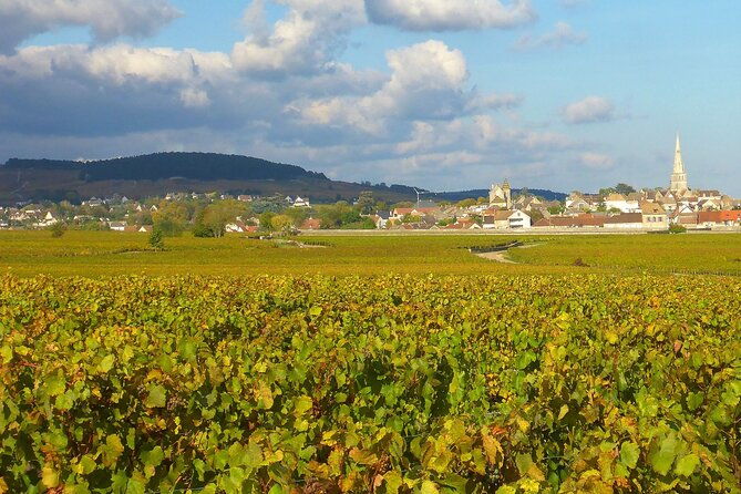 private-guided-sidecar-tour-in-burgundy-from-meursault
