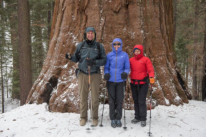 private-guided-snowshoe-hike-in-yosemite