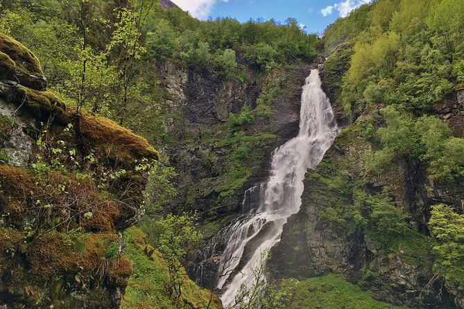private-guided-tour-norways-highlights-viking-special-11-12-hours-summer