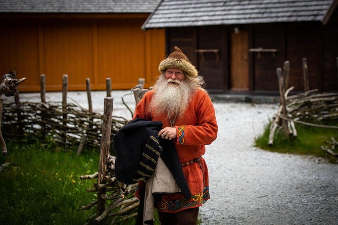private-guided-tour-world-heritage-fjord-landscape-viking-special-from-flam
