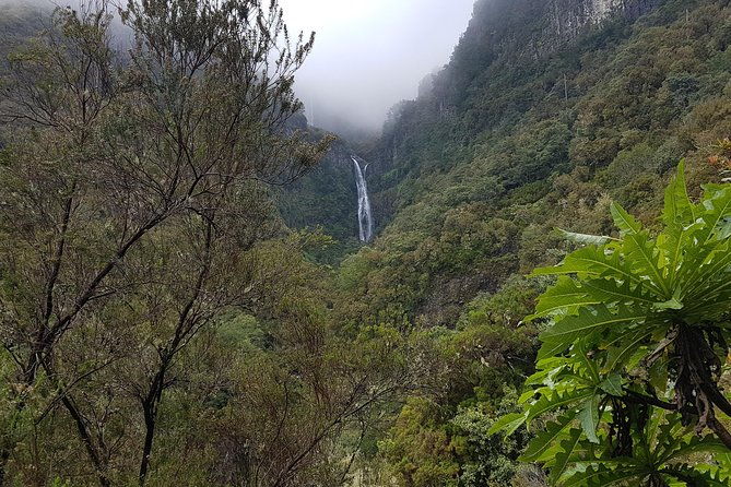 private-guided-walk-levada-25-fontes