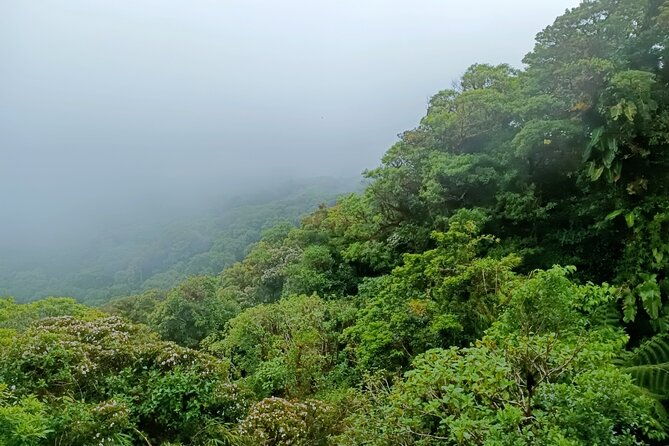 private-guided-walk-to-the-santa-elena-cloud-forest-reserve