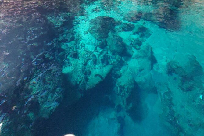private-half-day-boat-sazani-island-haxhi-aliu-cave-2