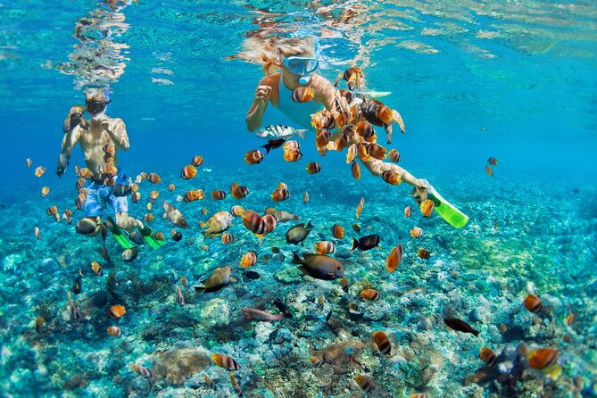 private-half-day-motorboat-tour-to-rose-island-beach-to-snorkel-a-coral-reef