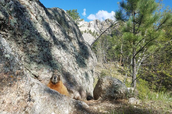 private-half-day-mt-rushmore-black-hills-tour-2