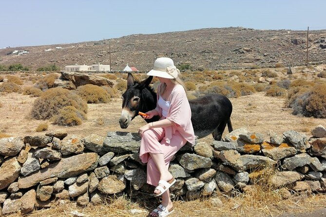private-half-day-mykonos-insider-tour-with-pick-up