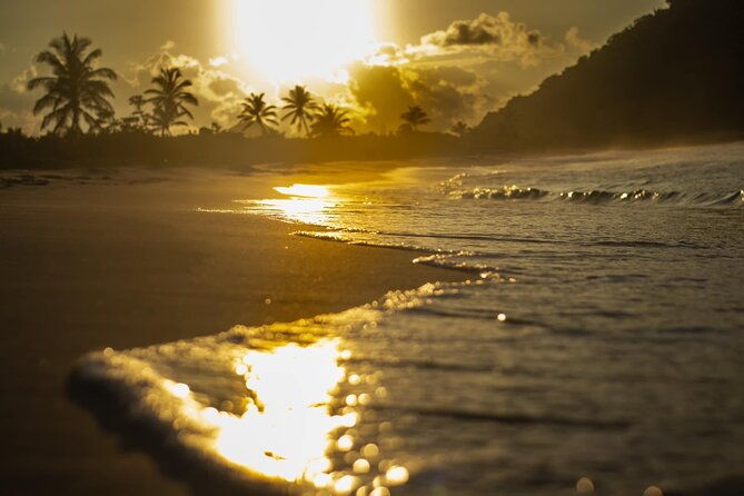 private-half-day-tour-in-st-thomas-virgin-islands-with-guide
