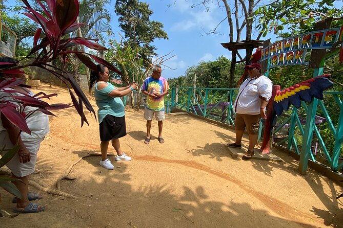 private-half-day-tour-on-the-island-of-roatan