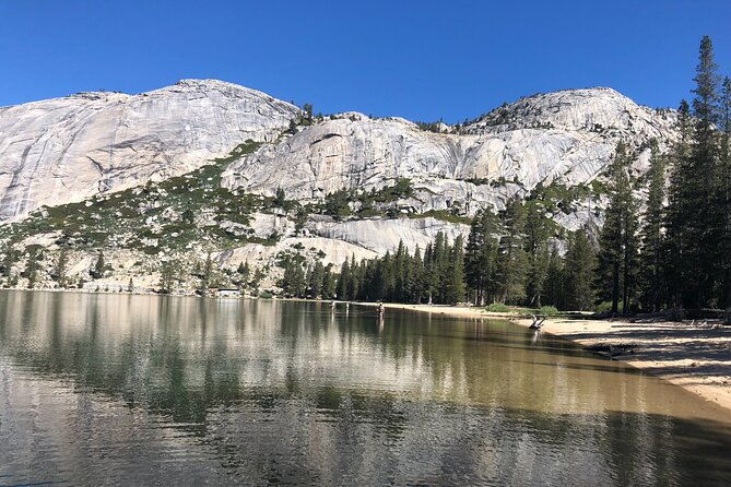 private-high-country-fly-fishing-adventure