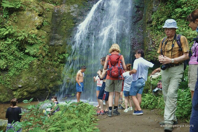 private-hiking-tour-to-mtirala-national-park-from-batumi