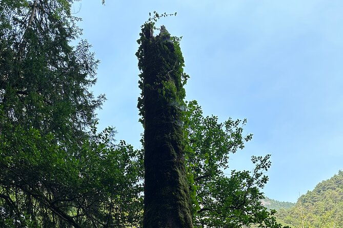 private-hiking-tour-to-olympus-mountain