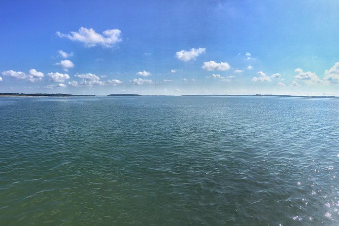 private-hilton-head-dolphin-tour-with-waterfront-dining-stop