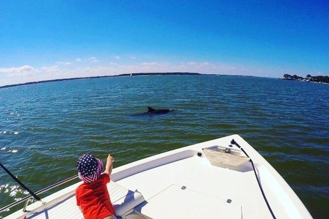 private-hilton-head-sunset-dolphin-tour