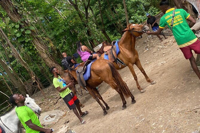 private-horse-back-riding-and-blue-hole-from-montegobay