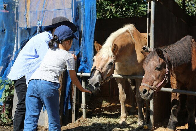private-horse-interaction-sakura-experience-near-mt-fuji