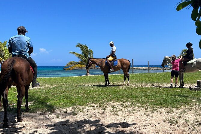 private-horseback-ride-and-swim-from-montego-bay