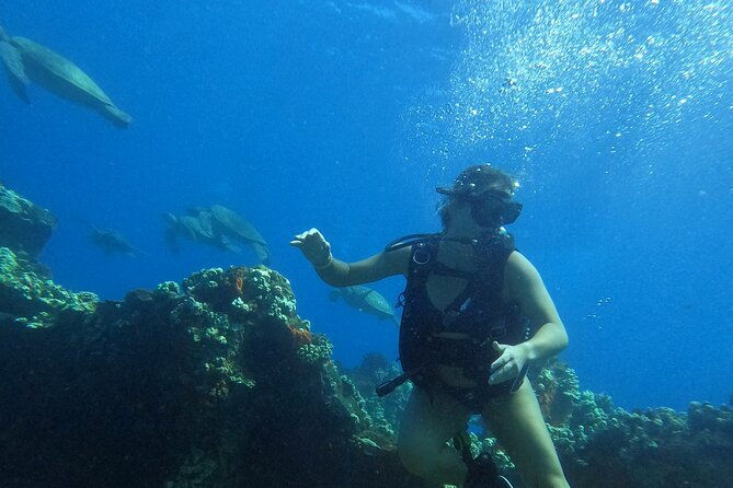 private-intro-scuba-adventure-2