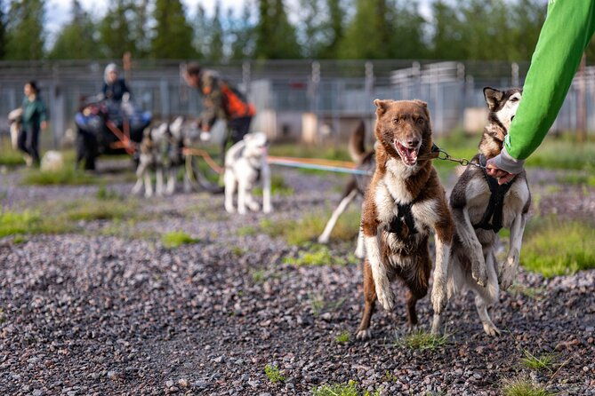 private-kennel-visit-and-atv-tour-with-the-huskies-2