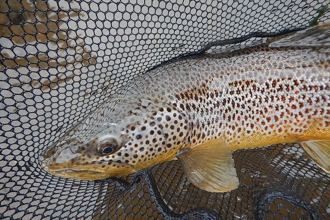 private-lake-and-river-fishing-tour-from-reykjavik