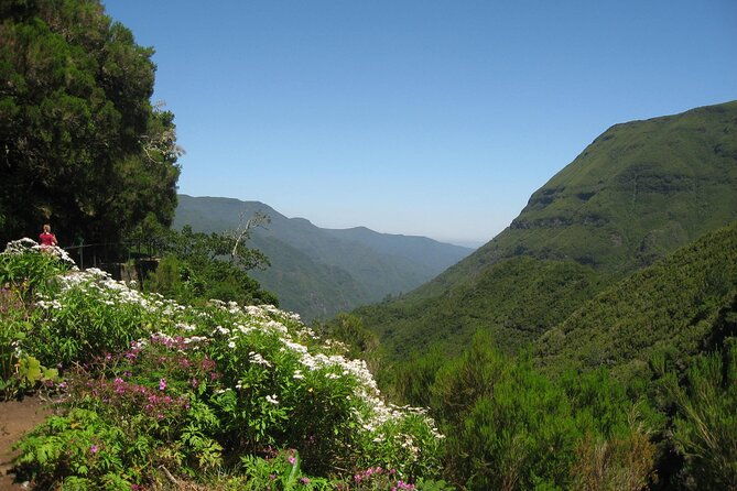 private-madeira-tour-8-people