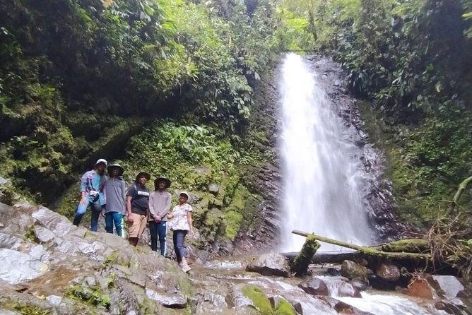 private-mindo-tour-with-birds-butterflies-zip-line-chocolate