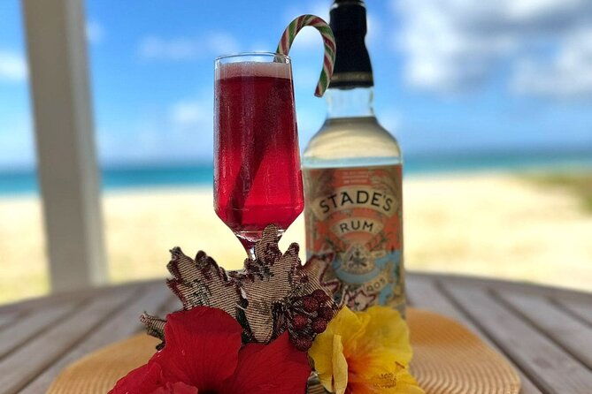 private-mixology-class-with-mixologist-of-the-year-in-barbados