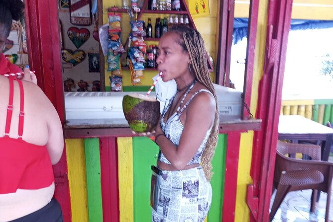 private-montego-bay-highlights-day-tour