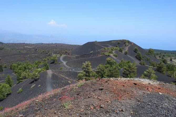 private-mount-etna-full-day-hike-from-a-refuge