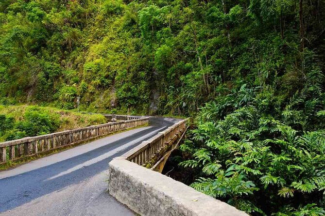 private-native-tour-of-the-road-to-hana-with-cultural-lunch-show