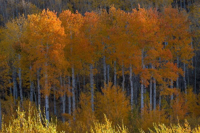 private-photo-workshop-and-sightseeing-in-wasatch-mountains