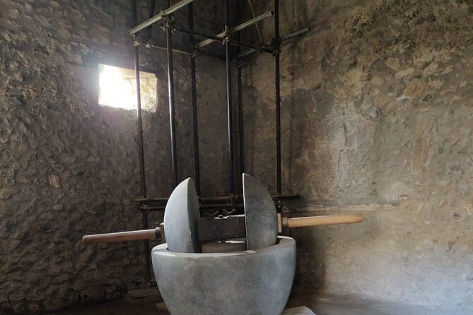 private-pompeii-tour-with-fast-entrance-tickets-to-the-ruins-exclusive-guide