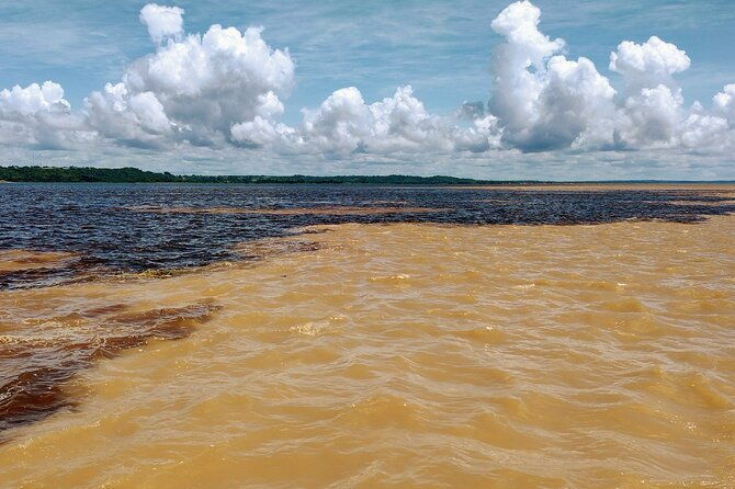 private-river-tour-by-speedboat-in-the-amazon-lily-pads-nature