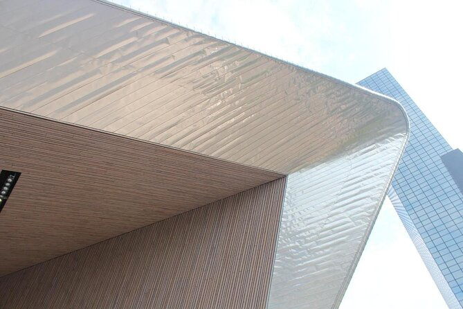private-rotterdam-walking-tour-guided-by-architects