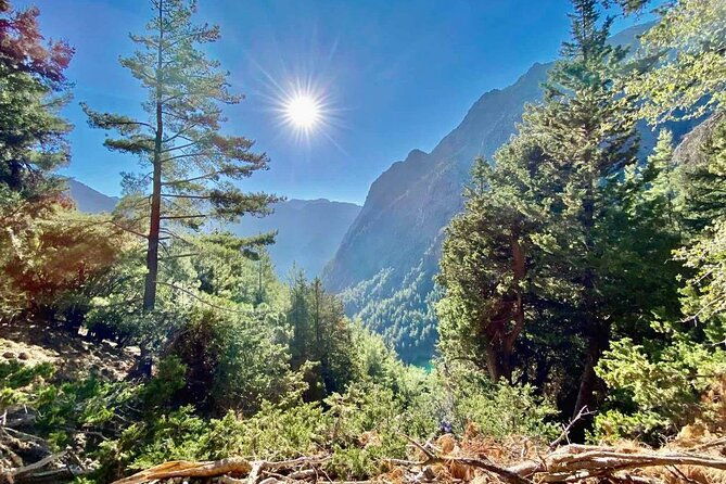 private-roundtrip-transfer-from-chania-to-samaria-gorge-park