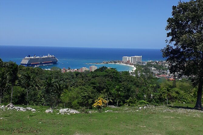 private-sightseeing-tour-in-ocho-rios