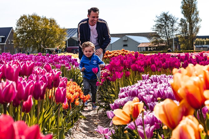 private-sightseeing-tour-to-keukenhof-gardens-and-the-windmills-from-amsterdam