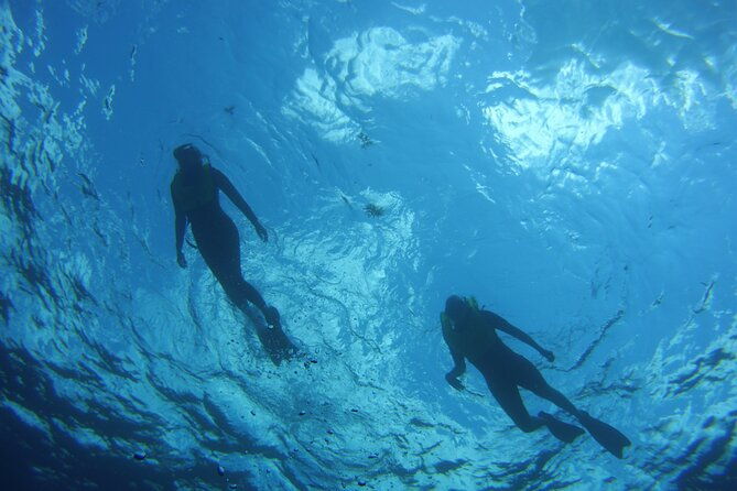 private-snorkel-to-key-largo-reef-for-up-to-12-includes-gear