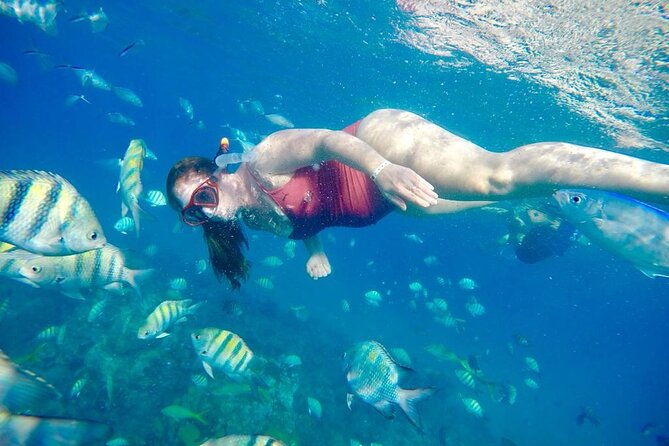 private-snorkeling-all-inclusive-bahia-de-sosua