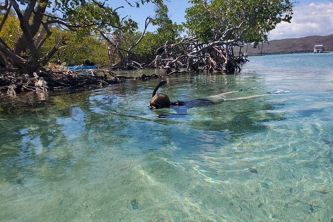 private-snorkeling-and-biobay-boat-tour-from-san-juan