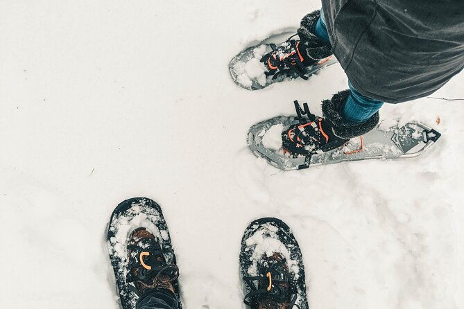 private-snowshoeing-adventure-from-badger-pass-to-dewey-point