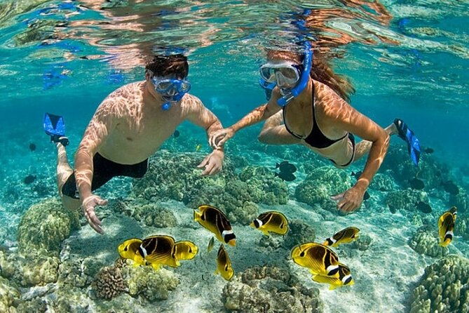 private-speed-boat-experience-with-snorkeling-in-punta-cana-2