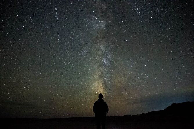 private-stargazing-sequoia-national-park-2