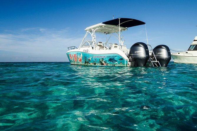 private-stingray-city-snorkeling-and-biobay-charter-for-10-guests
