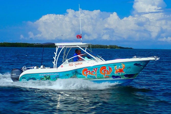 private-stingray-city-snorkeling-and-biobay-charter-for-6-guests