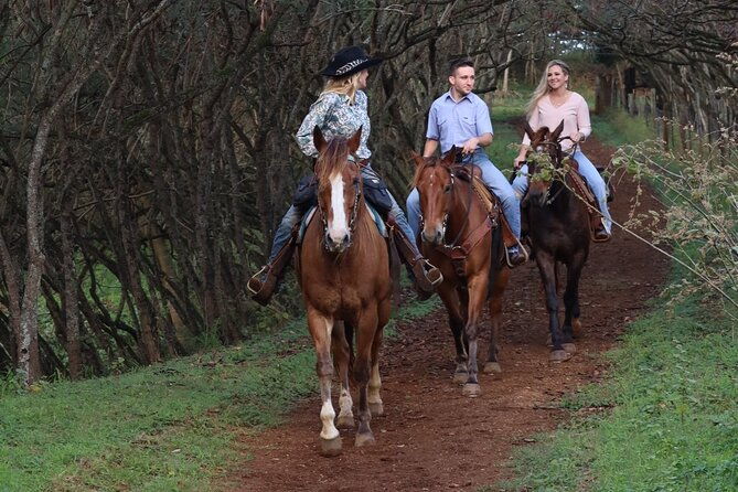 private-sweetheart-horseback-ride
