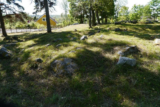 private-tour-3h-viking-history-from-stockholm-to-runic-kingdom