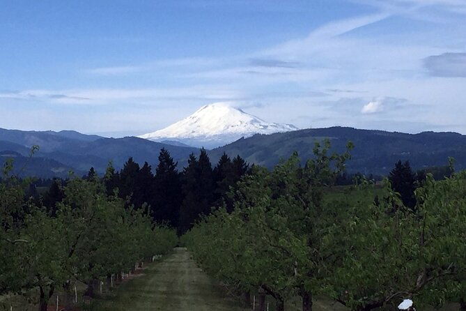 private-tour-at-the-hood-columbia-loop-timberline-orchards-and-waterfalls