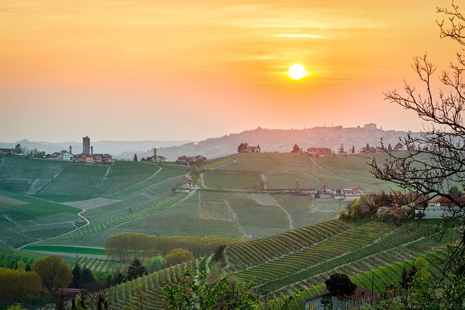 private-tour-barolo-wine-tasting-in-langhe-area-from-torino